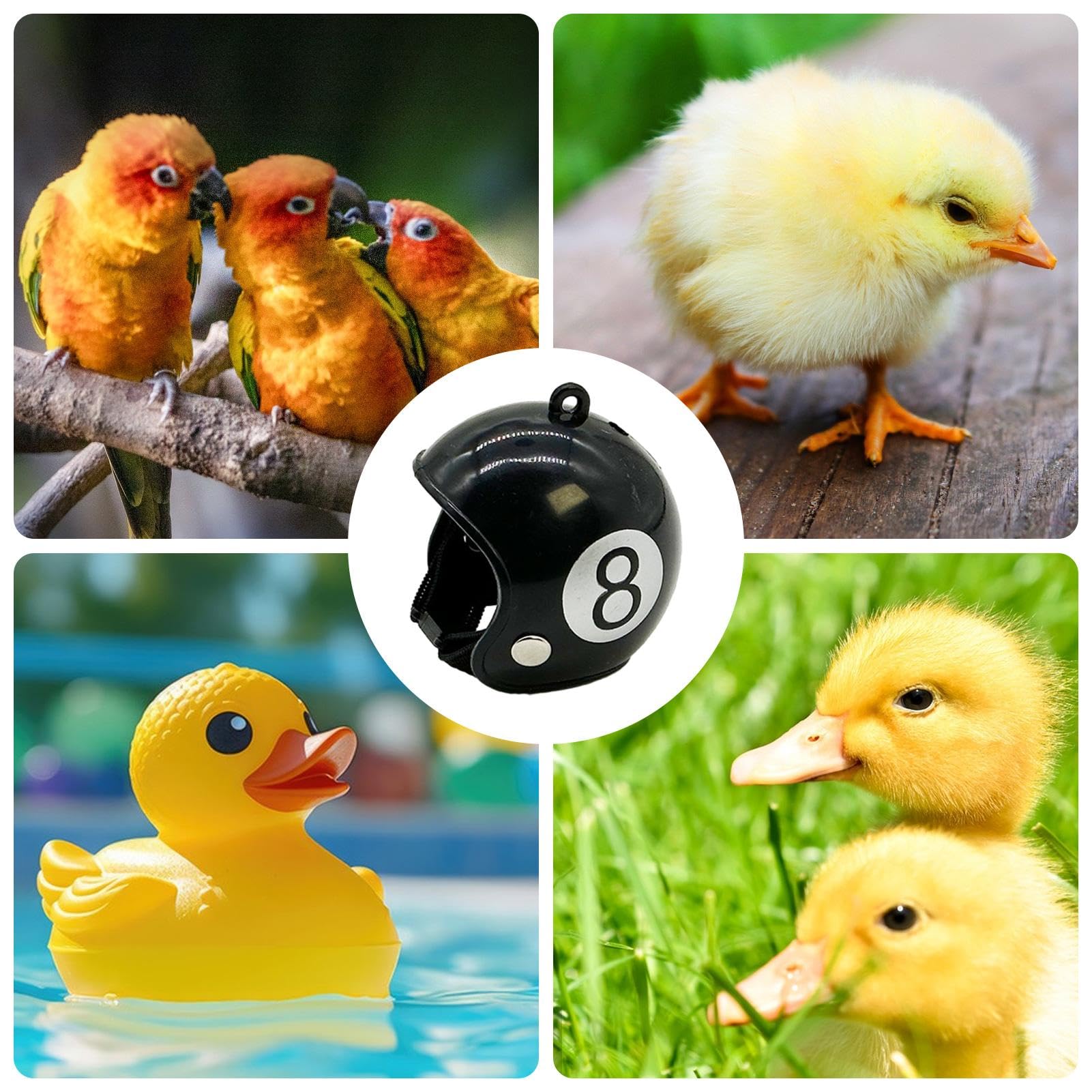 Amazon | Jeproer ペットの帽子、鳥、アヒル用の小型ペット用ハード